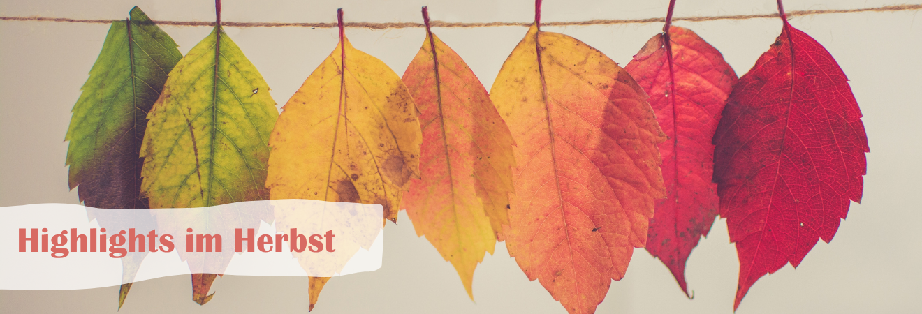 Herbst-Highlights